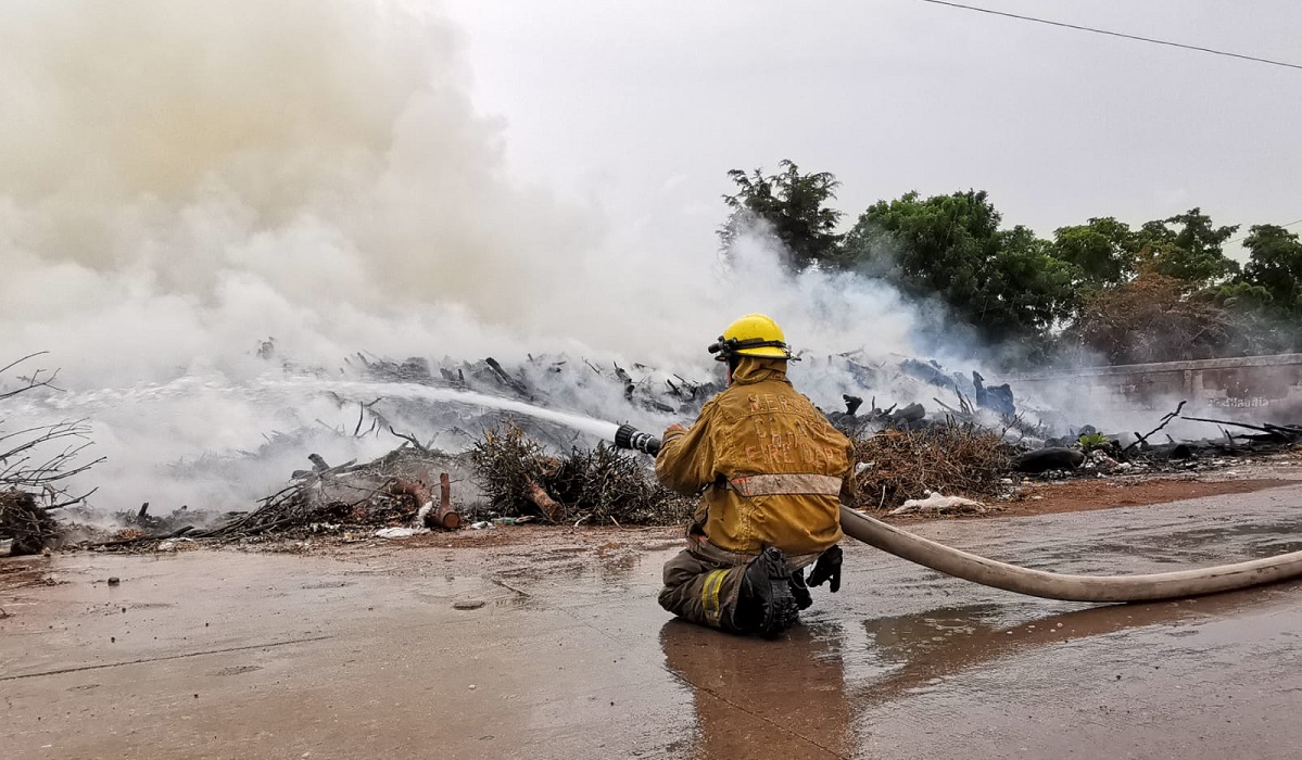 Fuego arrasa con árboles en panteón de Los Mochis