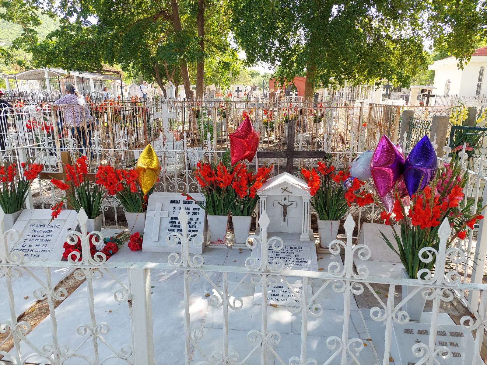 Como jardinero de panteones sacó adelante a sus 10 hijos; don Luis limpia las tumbas desde el año de 1985