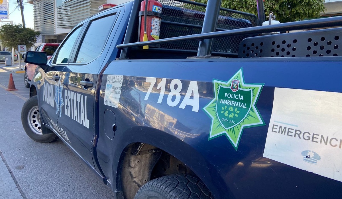 Pareja ofrece ayuda a adulta mayor que se sentía mal al salir de un banco y le roban 80 mil pesos, en Mazatlán