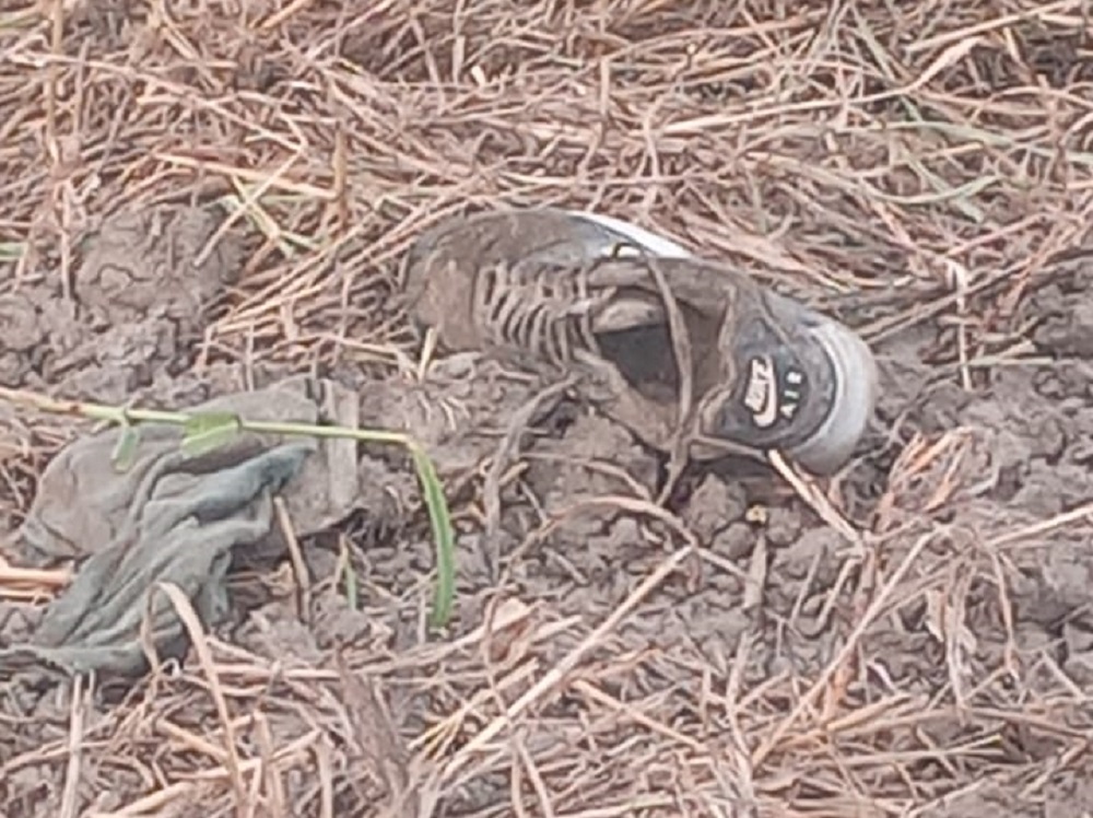 Localizan restos humanos en tierras de cultivo de la sindicatura de Eldorado, al sur de Culiacán