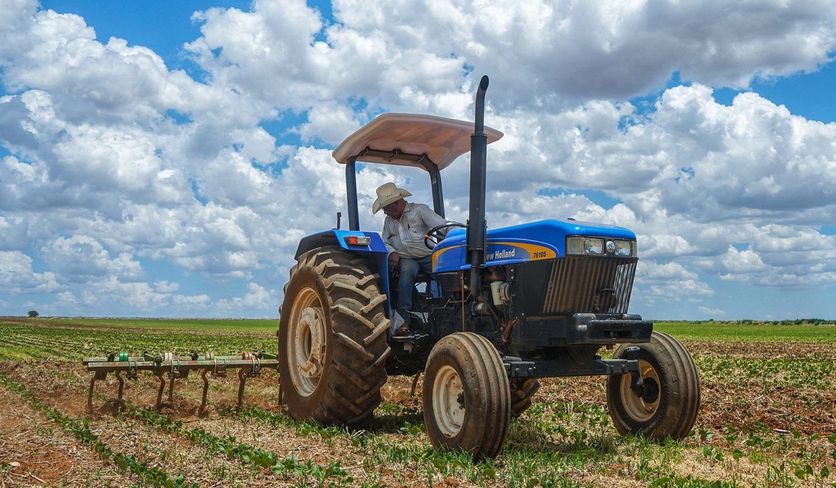 Agricultores del norte de Sinaloa inician el ciclo en medio de incertidumbre y un panorama complejo