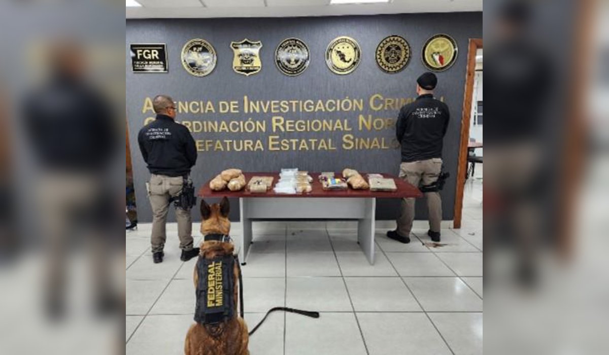 Aseguran más de 82 mil pastillas de fentanilo en paquetería de Culiacán