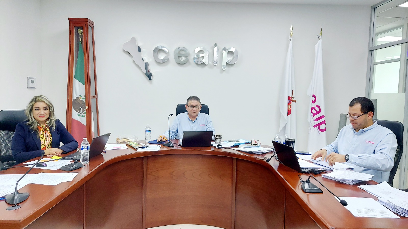 CEAIP resolvió 47 asuntos de Transparencia en Sesión ordinaria de Pleno; 23 corresponden a recursos de revisión