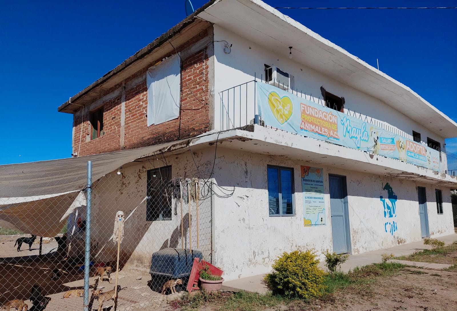 Fundación Mayla en Guamúchil llevará a cabo caminata para recaudar fondos