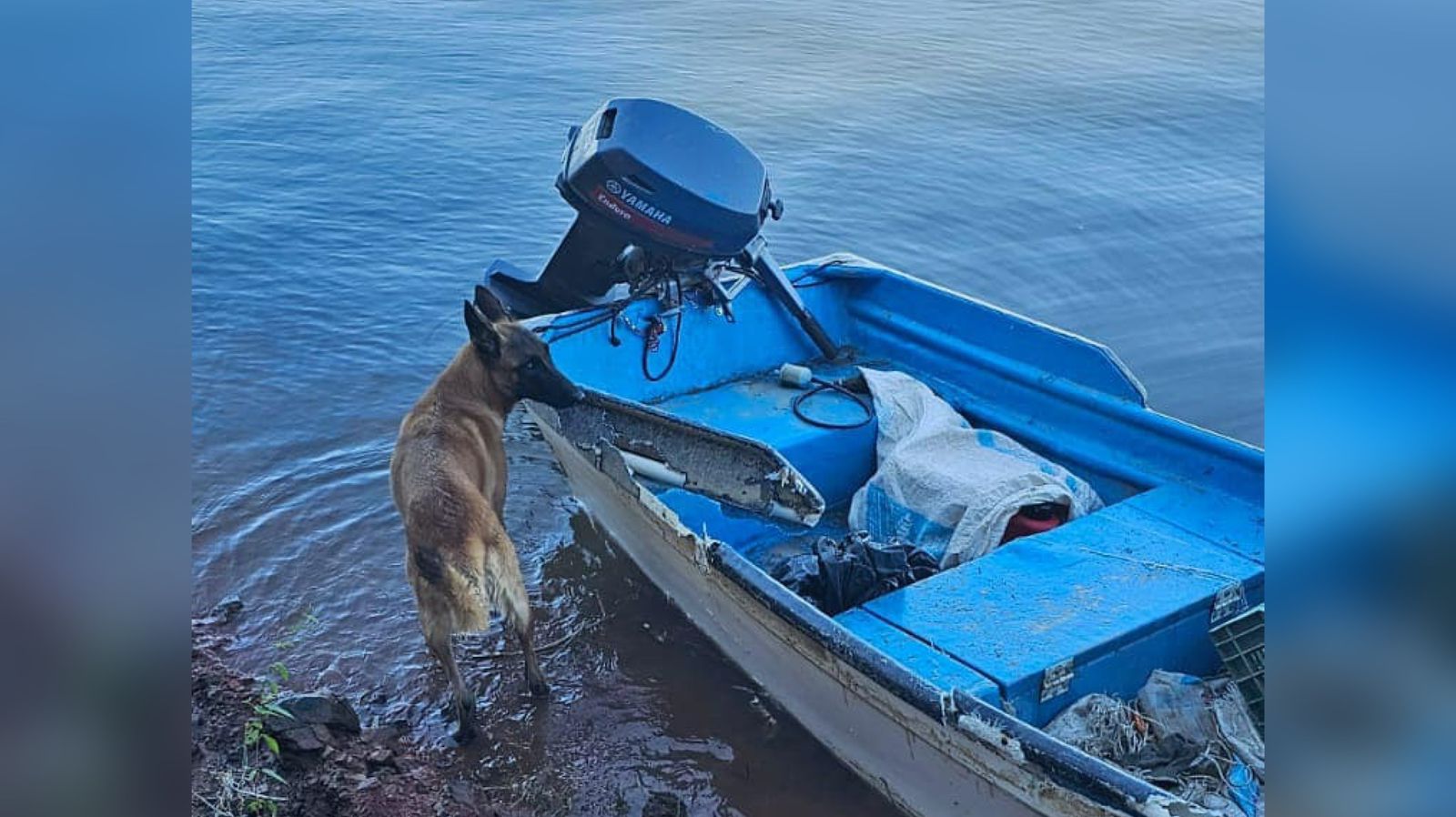 ¡Amigo fiel! Perrito esperaba a su amo, el pescador fallecido en la Presa Picachos