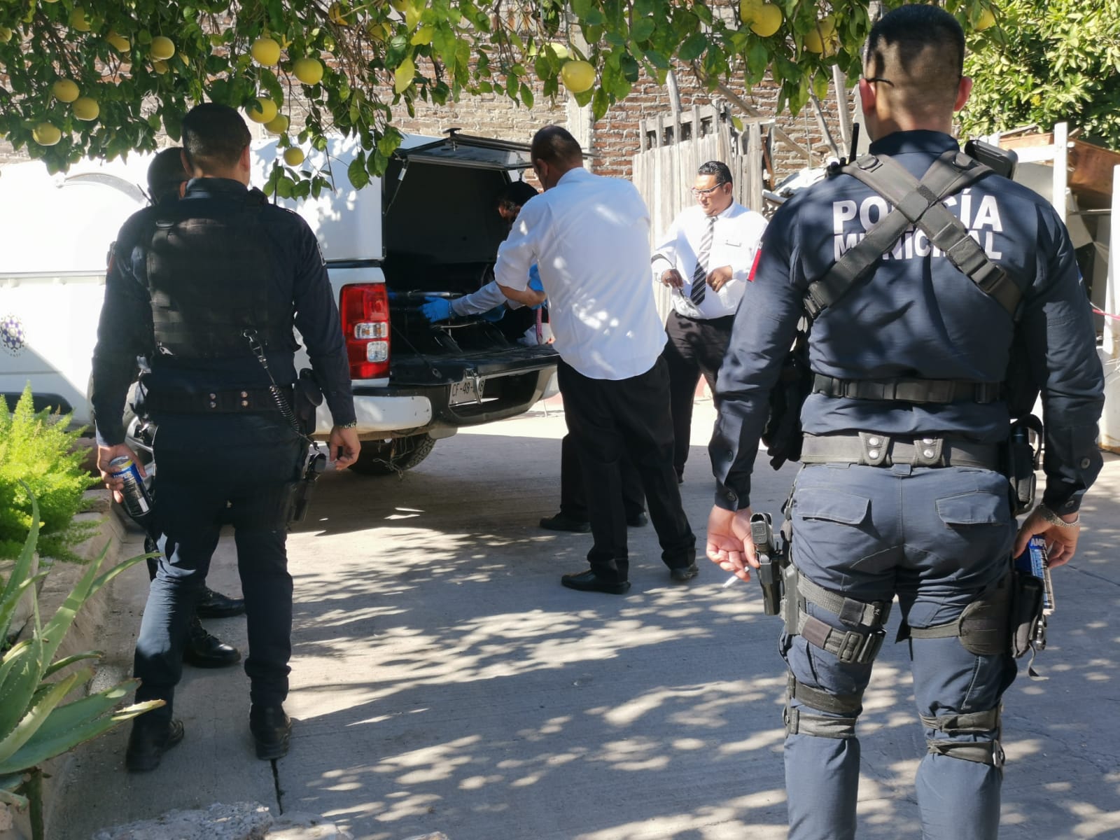 Localizan un adulto mayor sin vida dentro de una vivienda en la colonia Toledo en Los Mochis