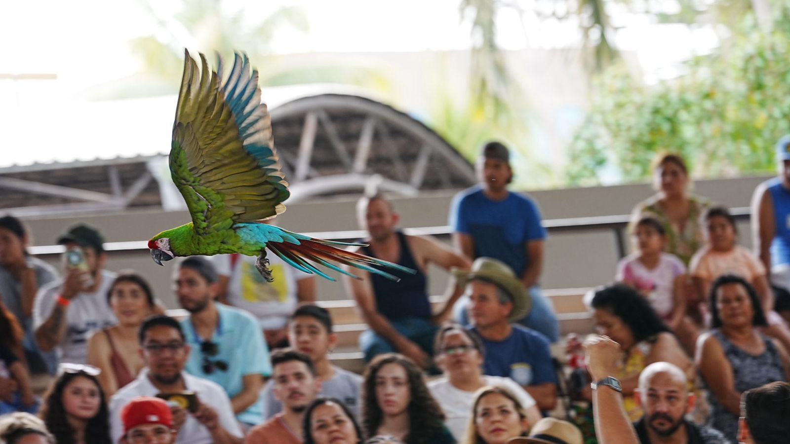 Cientos de personas despidieron el 2023 en el Gran Acuario Mazatlán