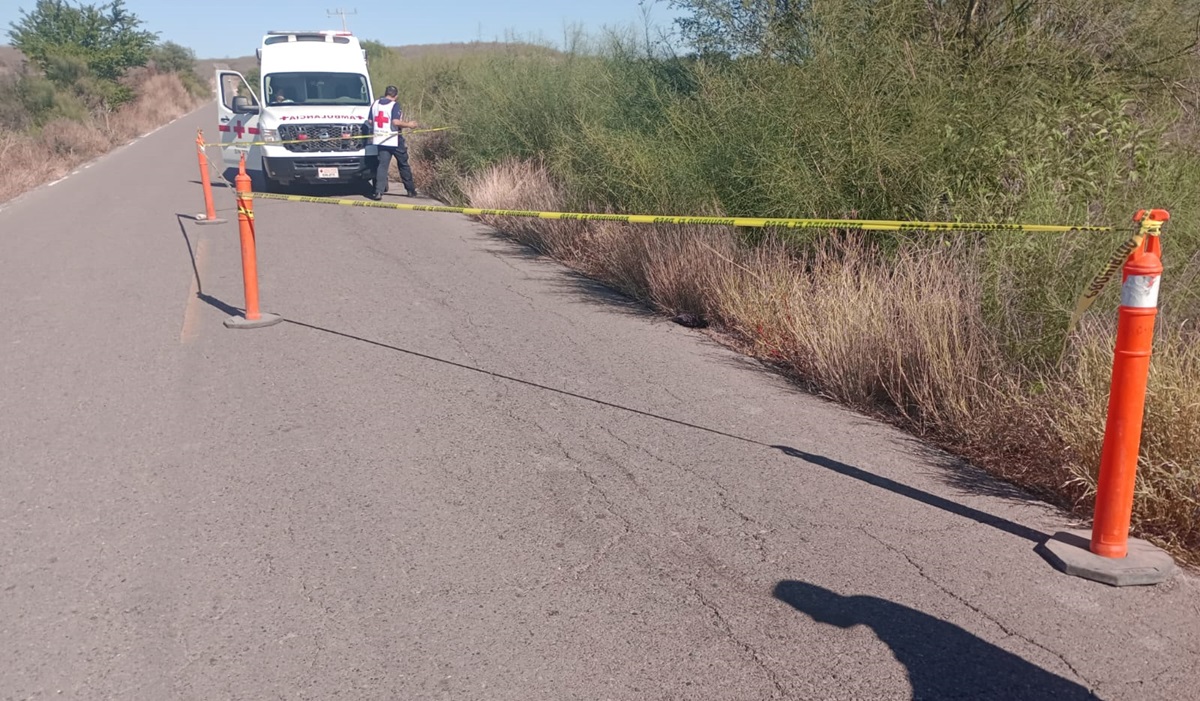 Adulto mayor pierde la vida atropellado por vehículo en la carretera El Fuerte-Carrizo