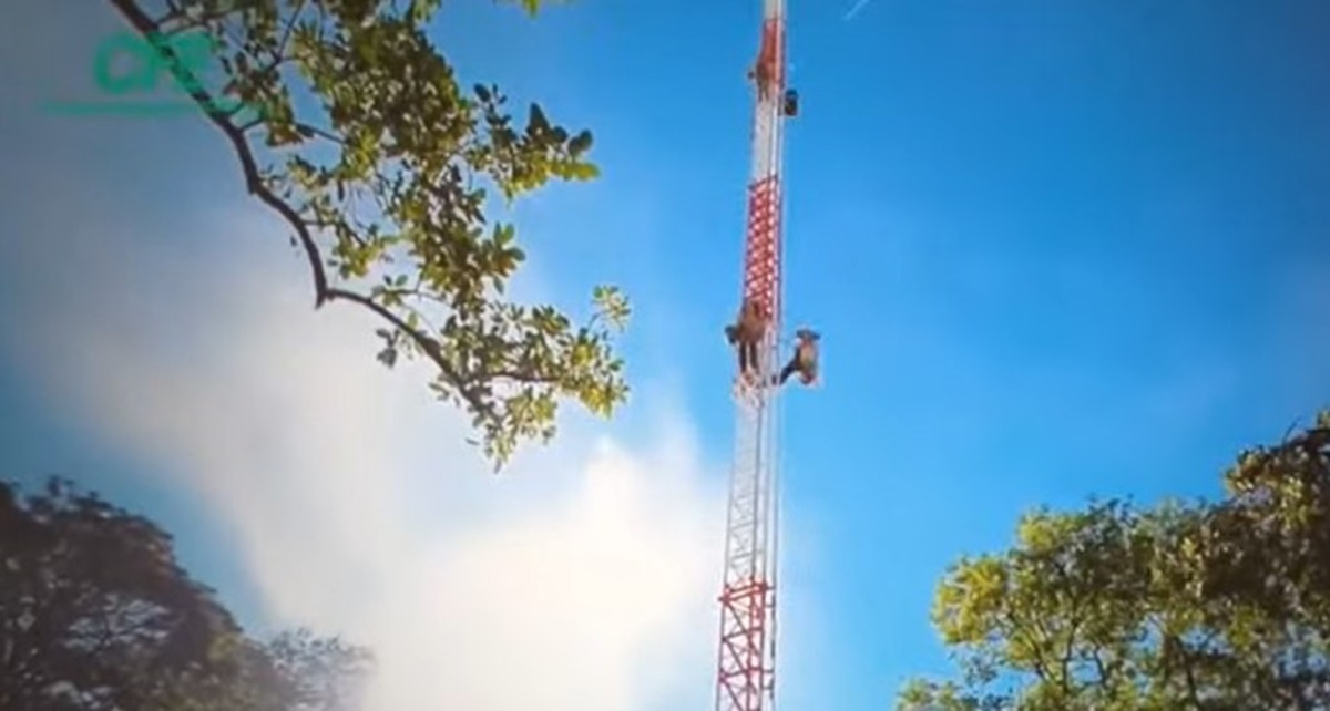Destacan cobertura poblacional de 94.7 por ciento de Internet para Todos en México