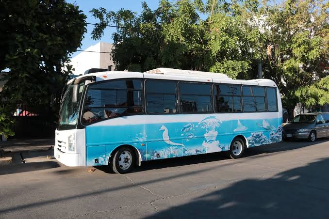 Ya se tienen dos posibles compradores para los autobuses del Acuario Mazatlán