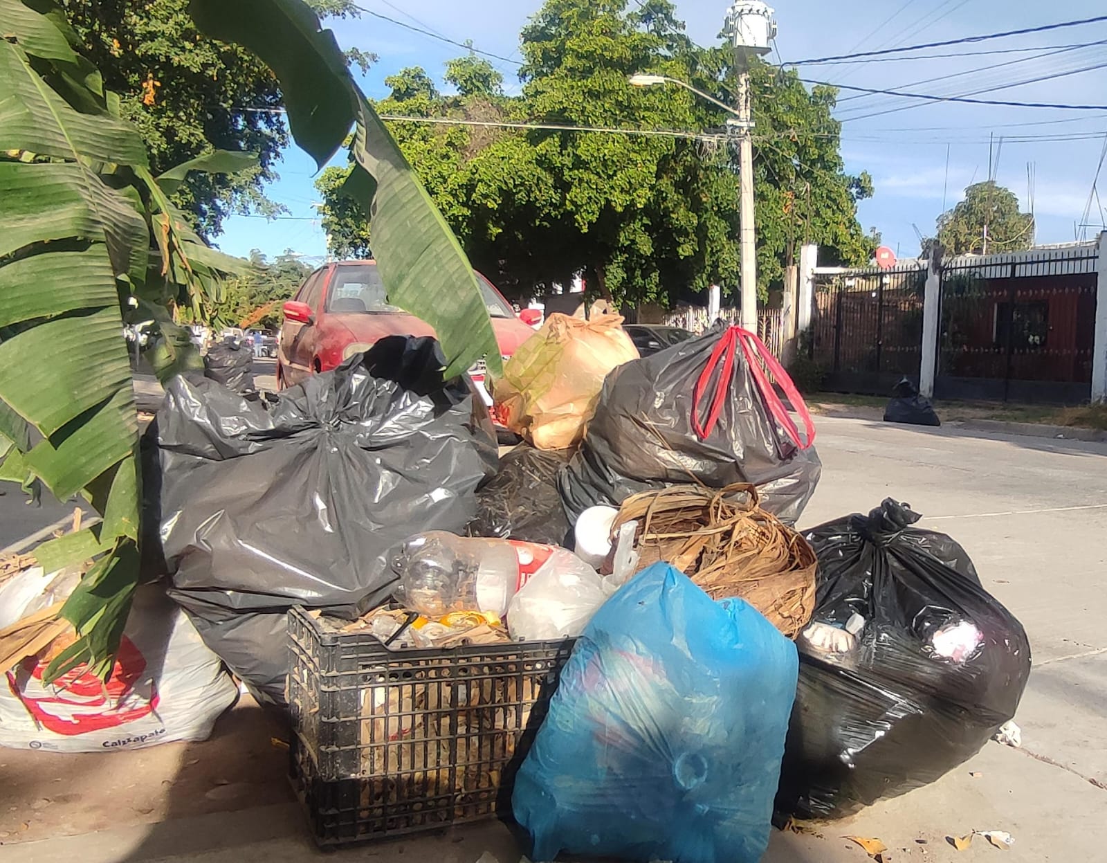 OP Ecología no alcanzó recoger la basura, pero ya se trabaja para resolver el problema: Javier Valdez