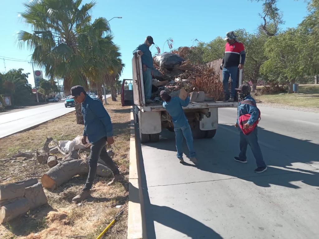 Se intensifica limpieza de Los Mochis, la ponen en buenas condiciones para visitantes y originarios