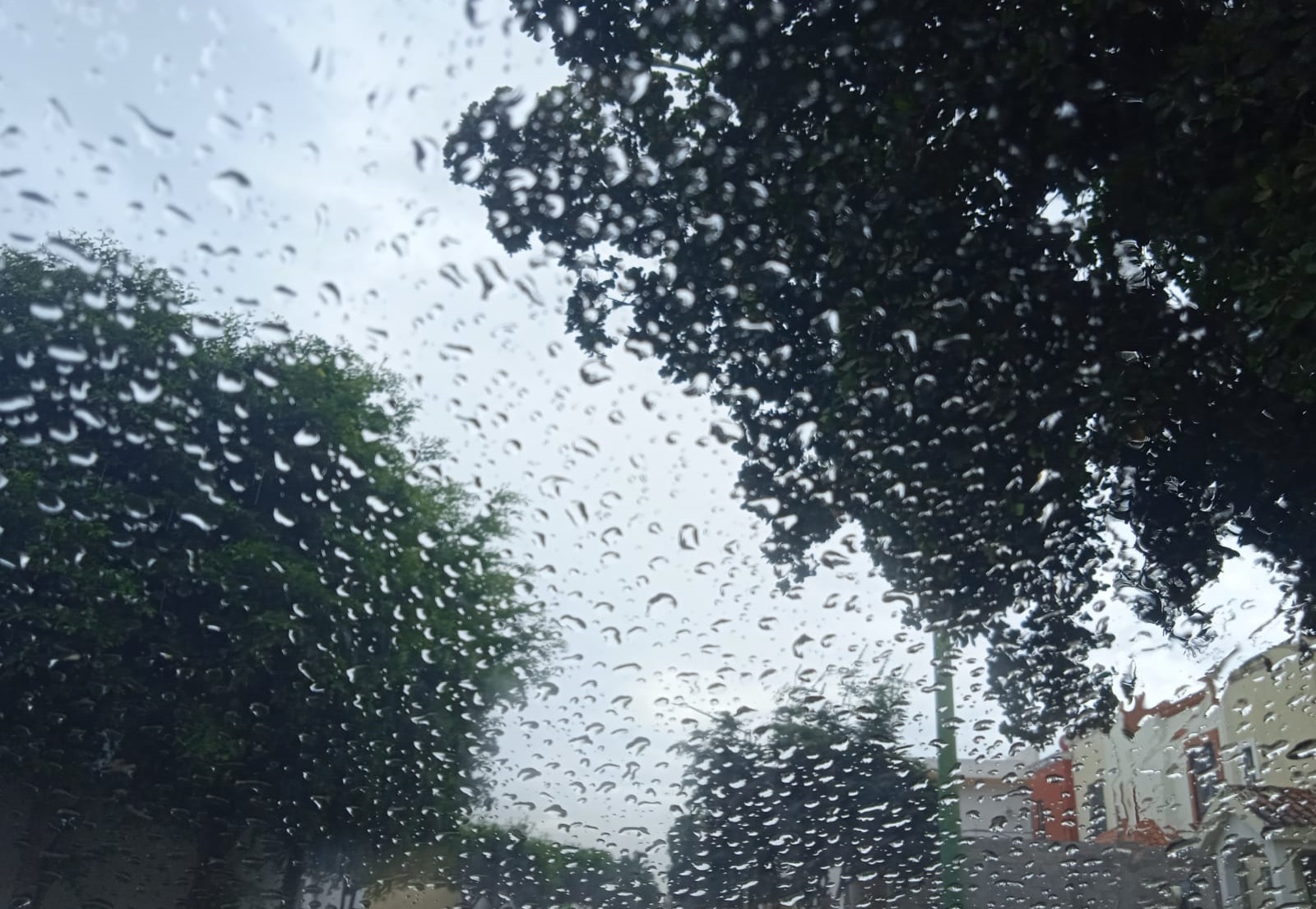 “Alvin” dejará lluvias de entre 50 y 75 milímetros para Sinaloa, incluidas lluvias para Culiacán: Protección Civil  
