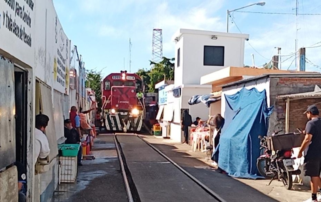 ¡Paren el tren! Locatarios del Mercado de Pescado en Mazatlán evitan que pelícano fuera arrollado