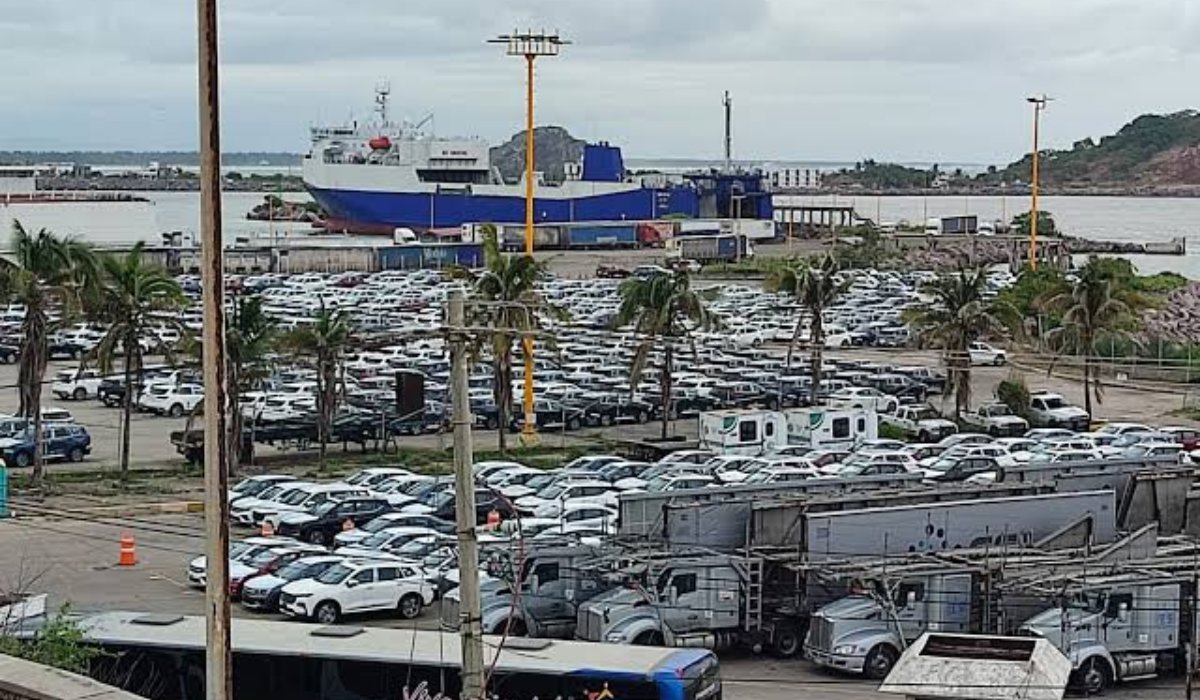 Se necesita un puerto de gran calado, separar la terminal de cruceros del patio de carga: Canacintra