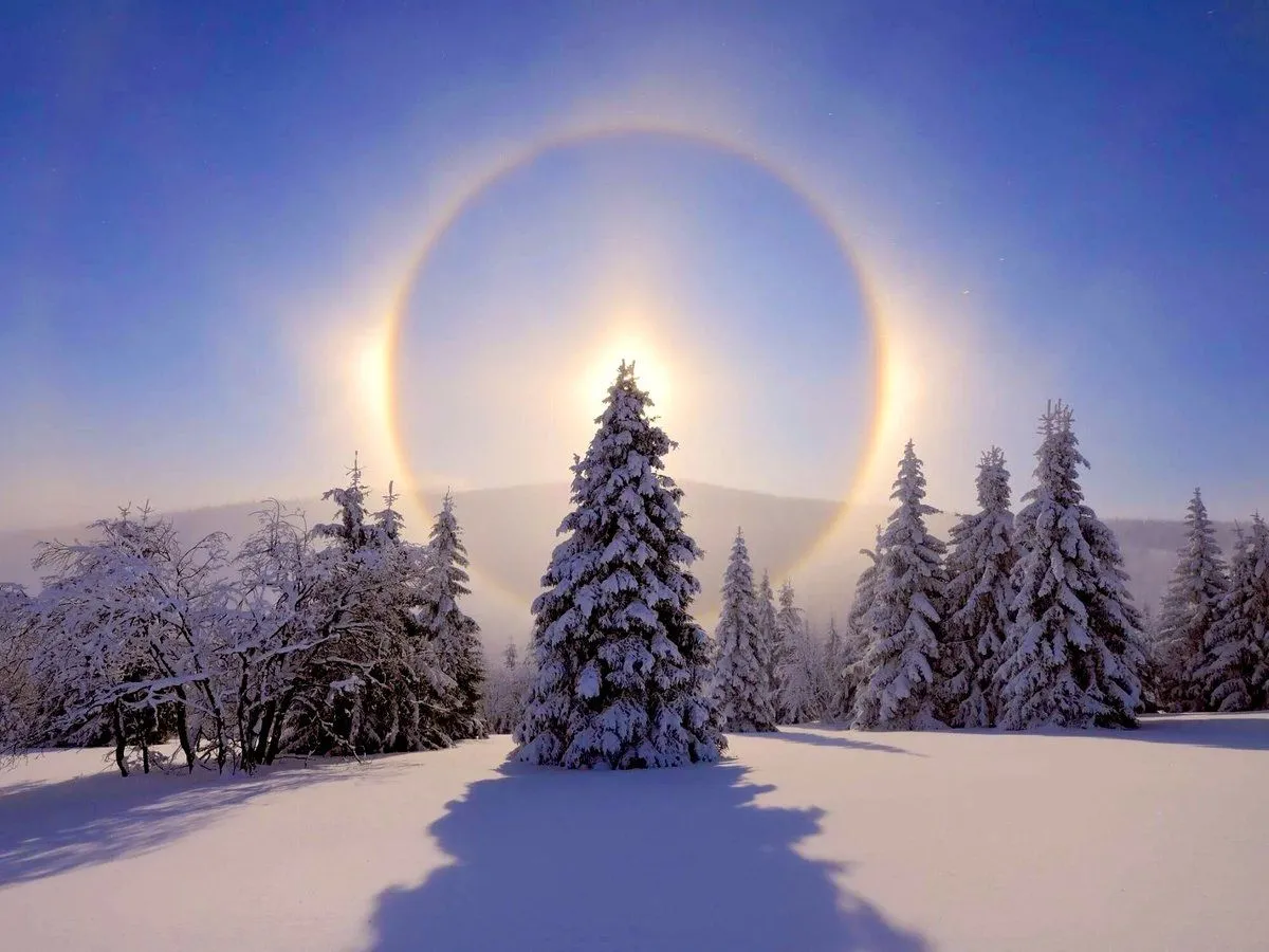 ¡Habemus Invierno! Hoy ocurre el Solsticio e inicia la temporada más fría del 2023