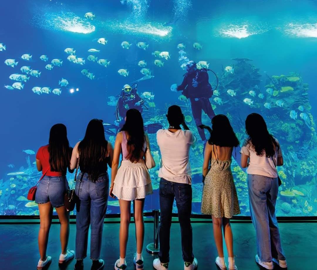 Cierra Gran Acuario ‘Mar de Cortés’ el 2023 con casi 744 mil visitantes; se vienen nuevas exhibiciones