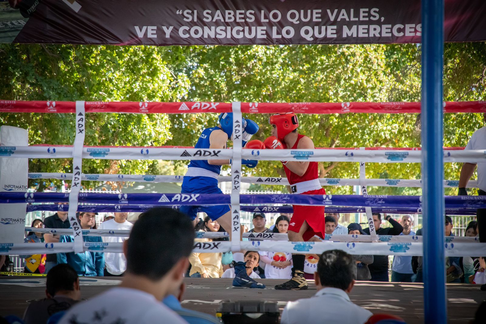 Culiacán domina el zonal de boxeo rumbo a Nacionales CONADE 2024