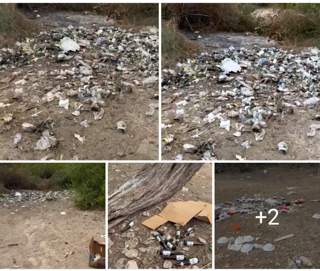Expone director de Ecología, condiciones de basura de la isla Altamura, luego de la ruta ‘Altamurazo’