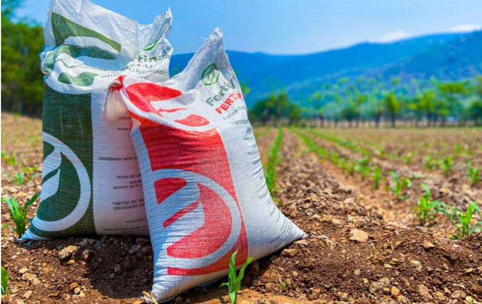 Programa de fertilizantes beneficia a más de 56 mil productores en Sinaloa; 65% ya entregado