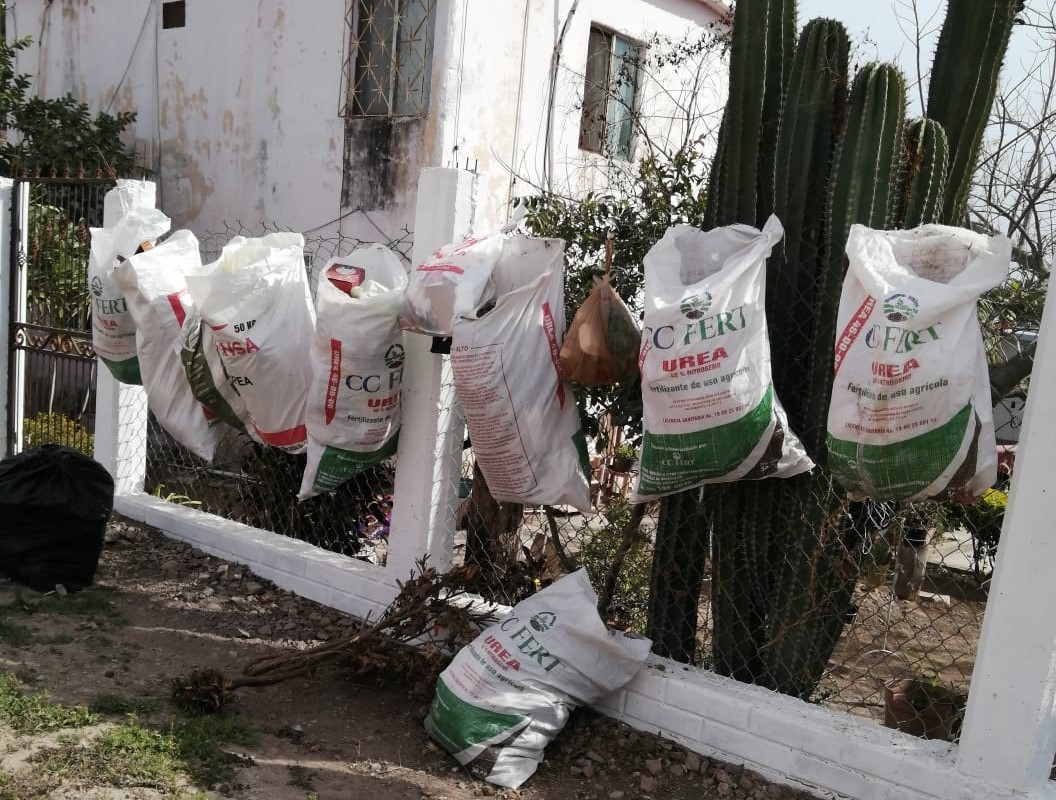 ‘Nos tiene abandonados el servicio de recolección de la basura’, denuncian habitantes del Campo 35, en Ahome