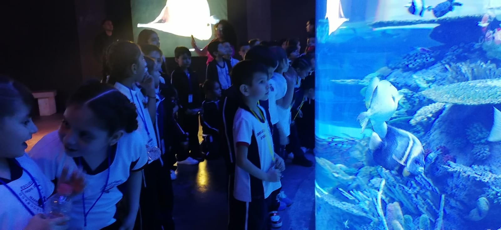 Viaje imaginario a Mazatlán se vuelve realidad para 80 niños de Guamúchil