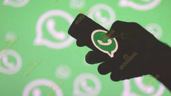 ¡Chats a otro nivel! WhatsApp CU Green APK, te decimos dónde y cómo descargarlo