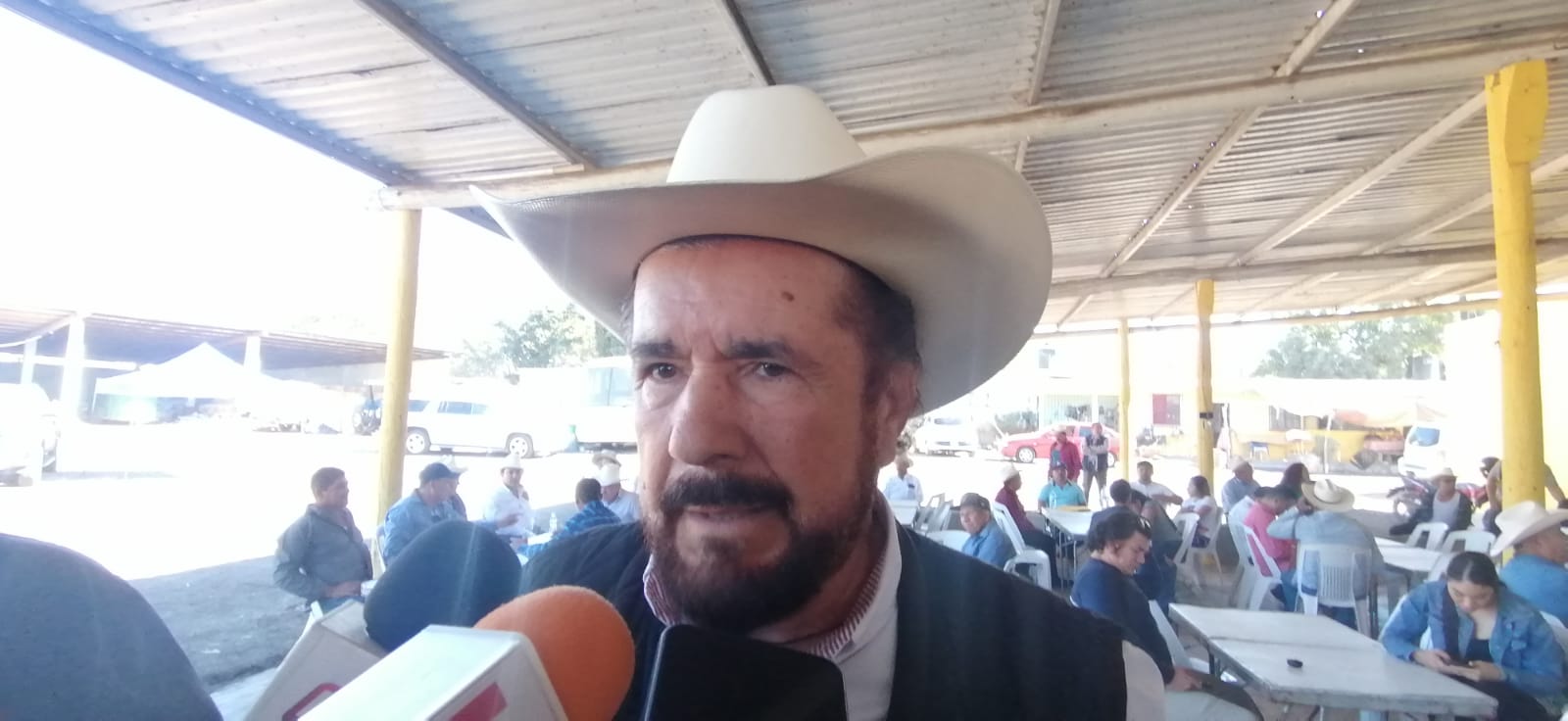 ‘El norte de Sinaloa tiene problema de garrapata en el ganado’: Subsecretario de Ganadería