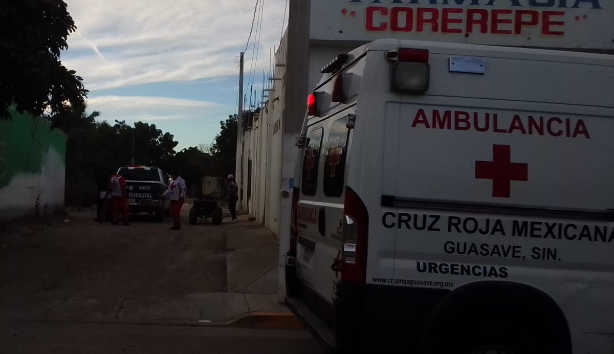 Mamá e hijo son picados por abejas en el panteón de Corerepe, en Guasave