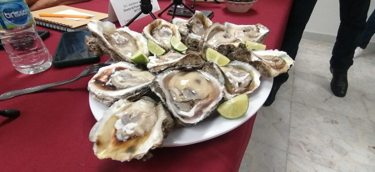 Anuncian Feria del Ostión en Celestino Gasca, en Elota