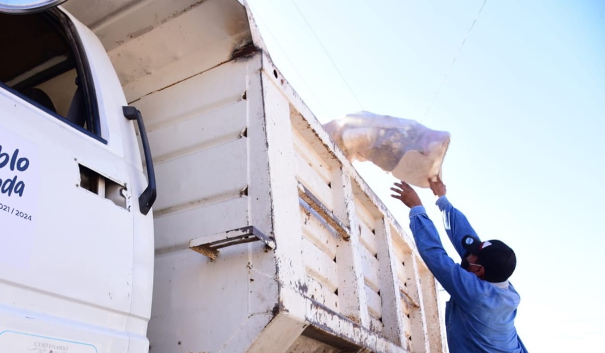 Diciembre deja más de 2 mil 770 toneladas de basura en Salvador Alvarado