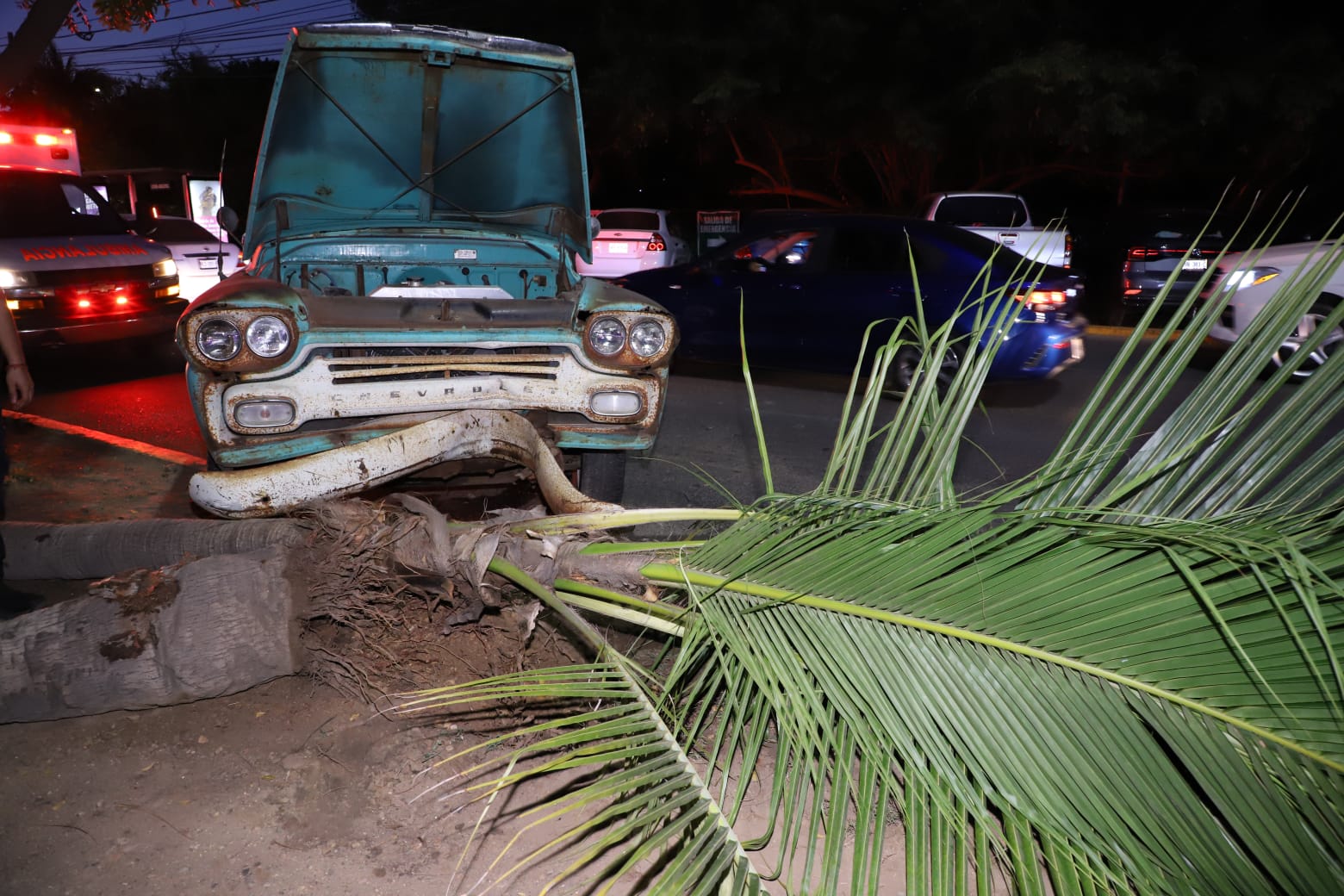 Trata de evitar choque y termina impactándose contra palmera en Mazatlán