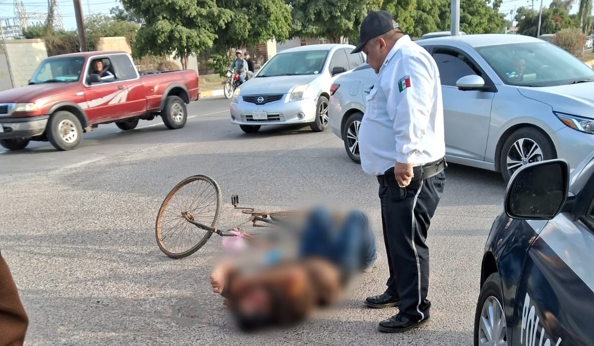 Ciclista no respeta las señales viales y es embestido por camioneta en Guasave