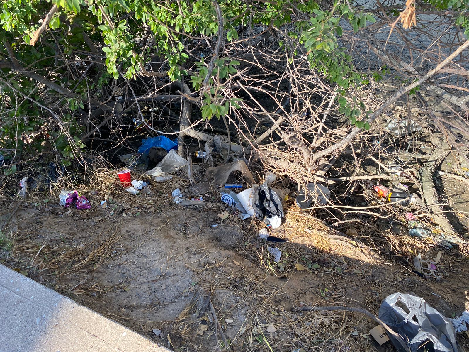 ‘Hay que multarlos o cerrarlos’: Alcalde de Mazatlán afirma que serán más ‘duros’ por derrames en Estero del Yugo