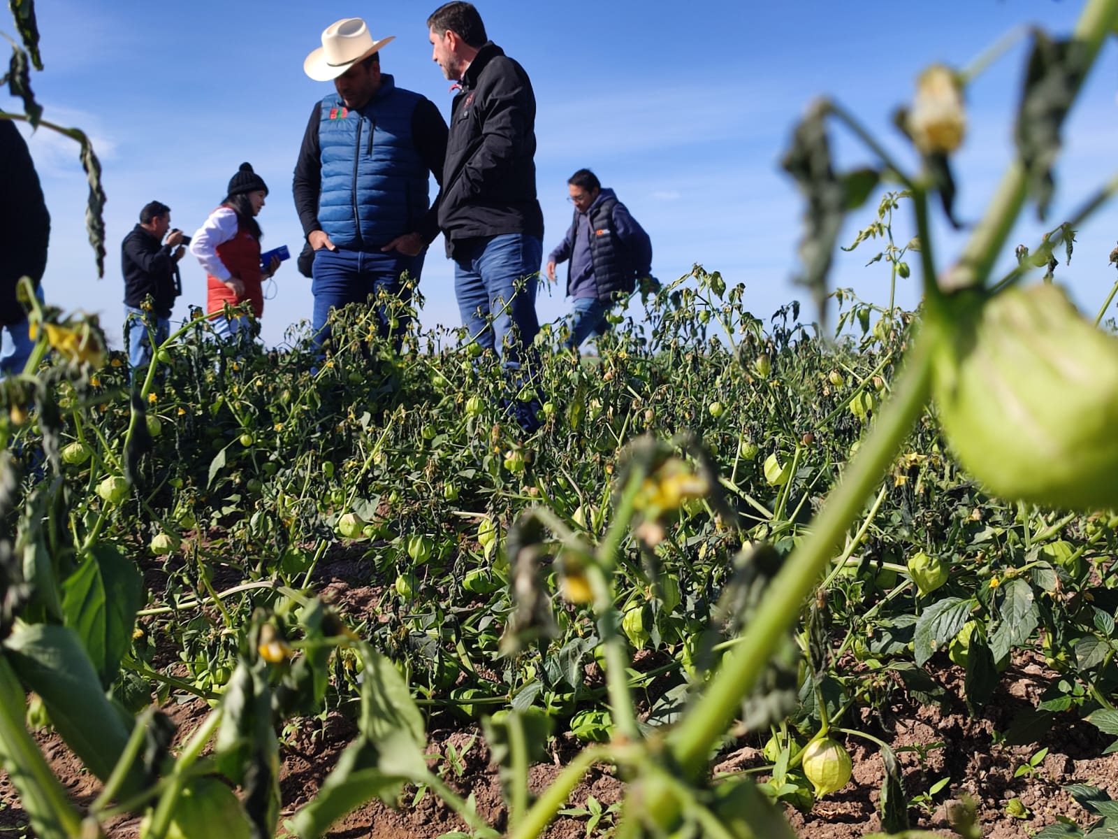 Llaman a productores de El Carrizo que no tengan su permiso único de siembra para que lo tramiten