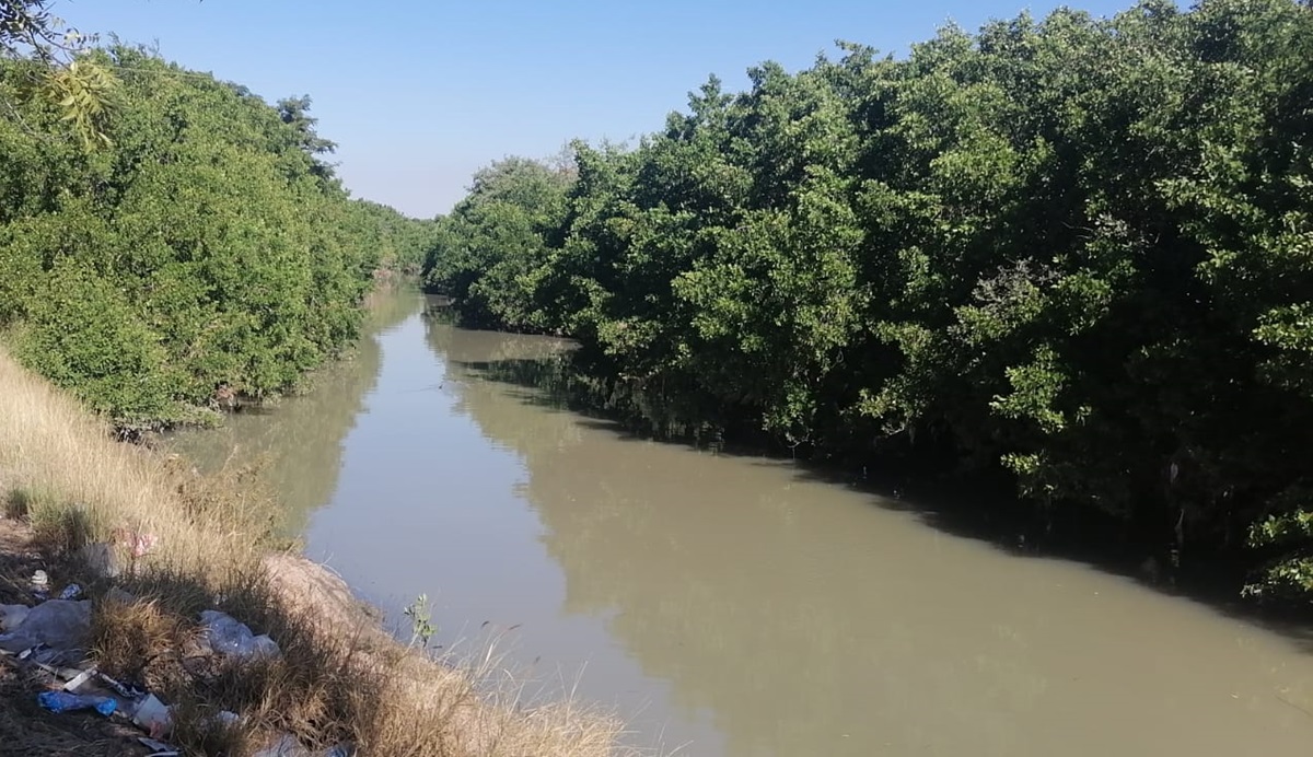 Derrame de aguas negras contamina el arroyo Jabalíes, en Mazatlán