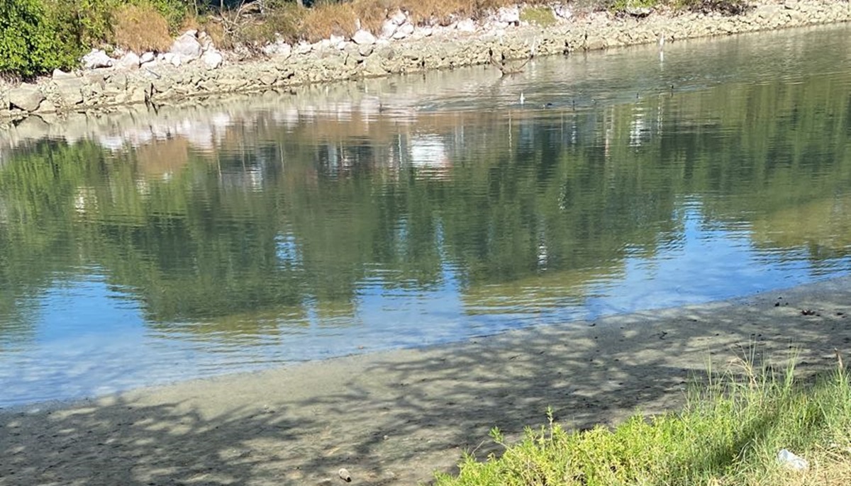 Constructora fue la causante de la fuga de aguas negras en el Estero del Yugo, en Mazatlán