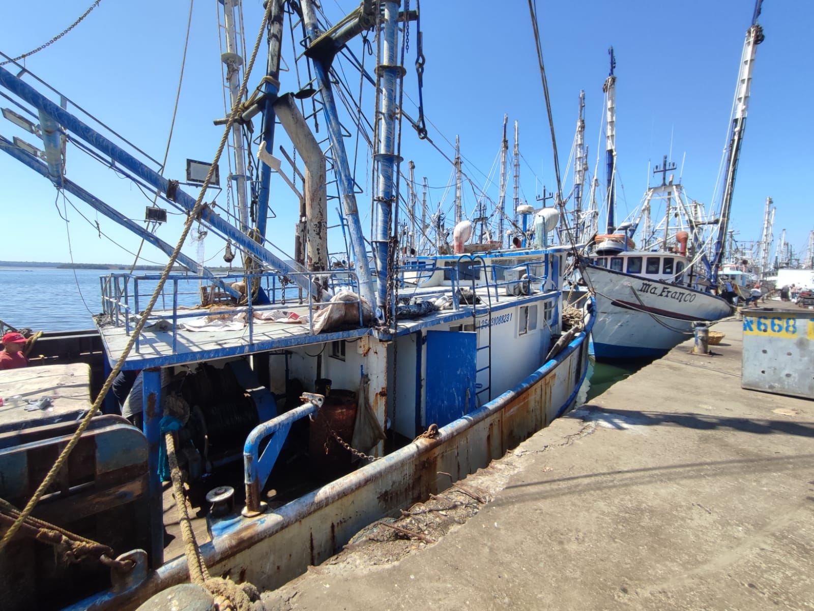 Será a finales de enero si flota pesquera en Mazatlán sale a un último viaje; no hay tallas, reportan