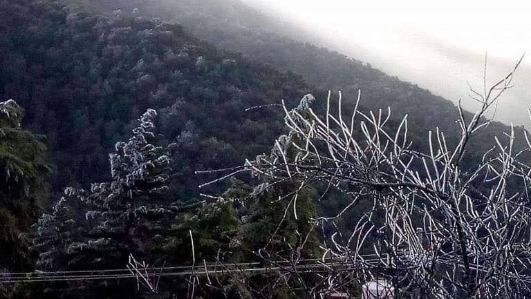 ¡Más leña al fuego! Amaneció en cero grados la sierra de Sinaloa y llega el frente No 26