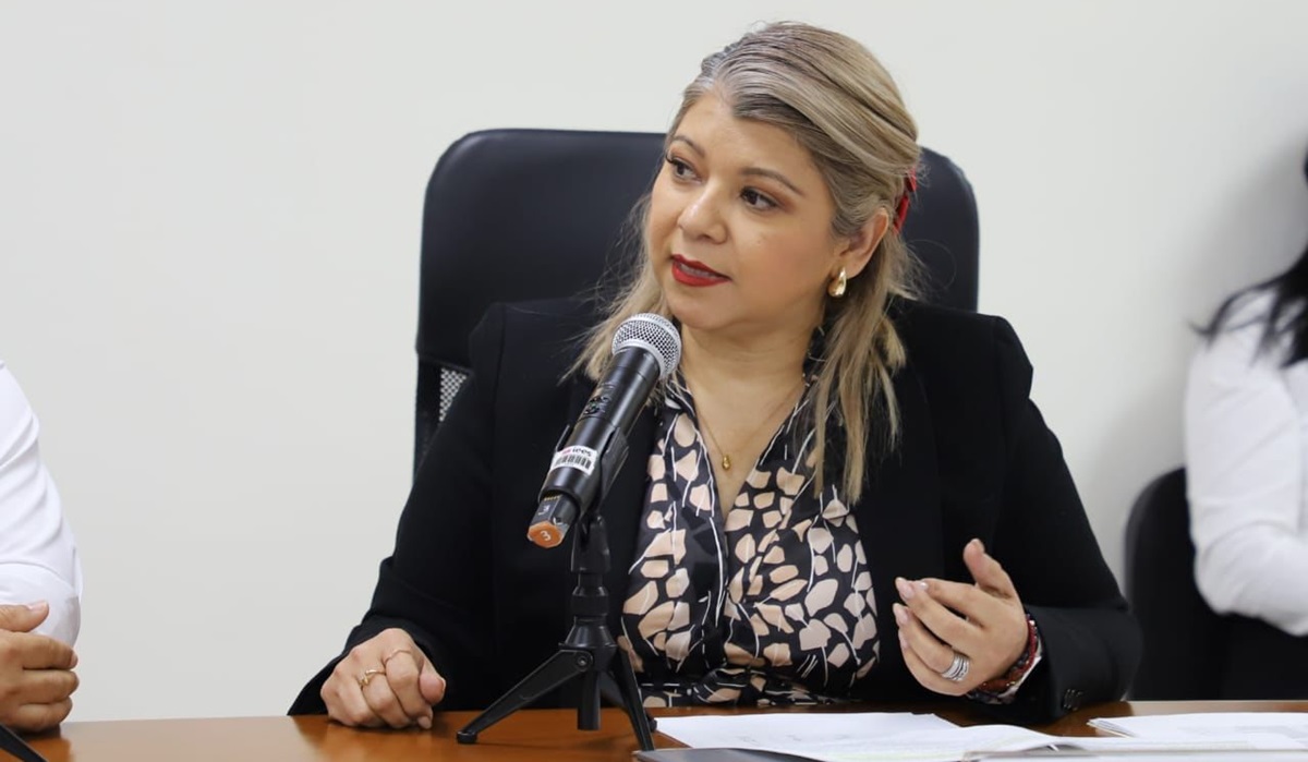 IEES aprueba topes de campaña de los partidos para diputaciones locales y ayuntamientos