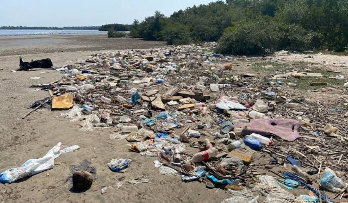 Mazatlán tiene una isla de basura en el canal de navegación