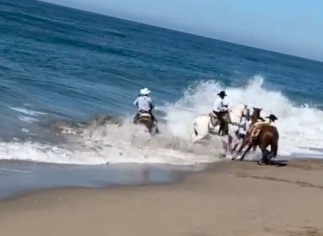 VIDEO: ‘Casi se ahogan’, jinete y su corcel se llevan susto en cabalgata en Mazatlán