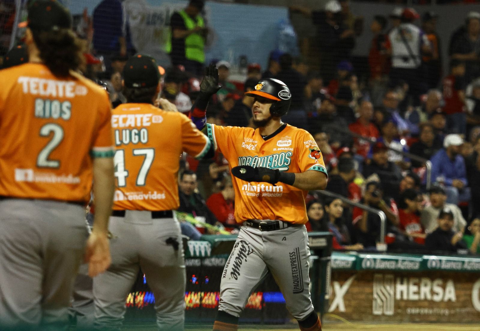 ¡Llegó la 17! Naranjeros de Hermosillo es el campeón de la Liga Mexicana del Pacífico temporada 2023-24