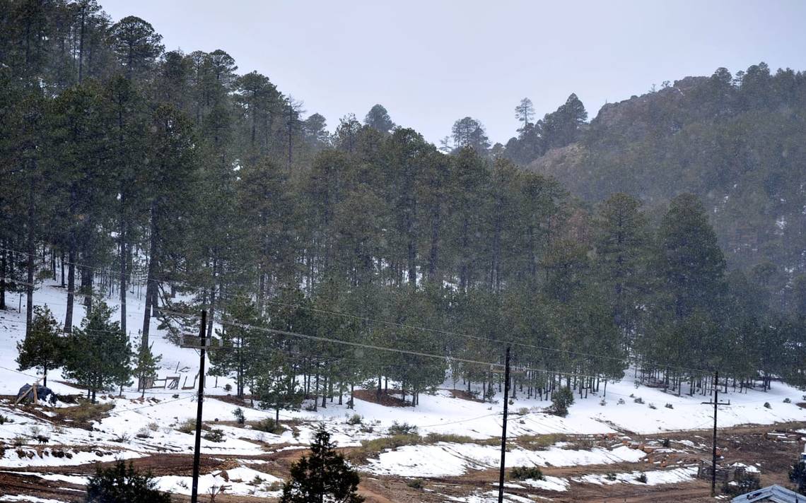 ¡Vaya frío! A -5 grados amanece la sierra de Sinaloa tras el paso de la tormenta invernal