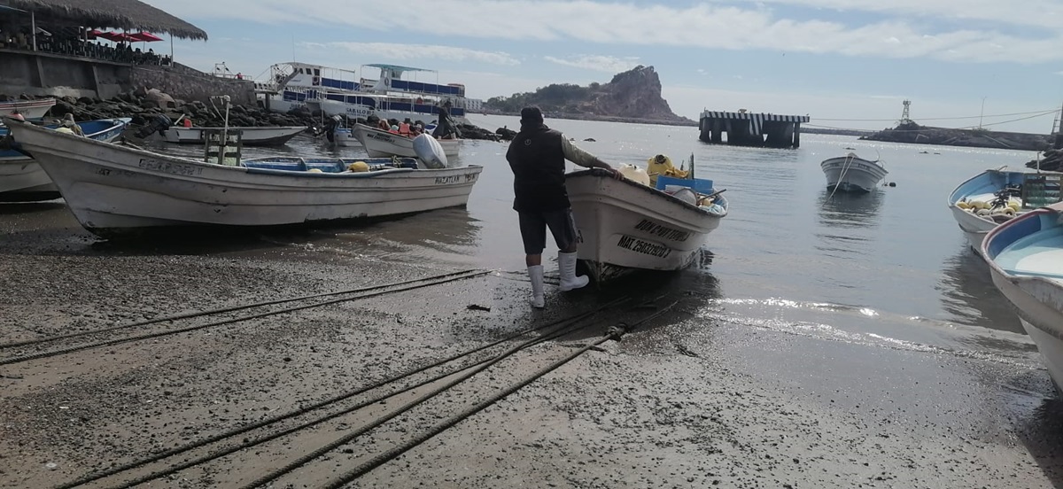 Pescadores de Playa Sur, en Mazatlán, reportan buena captura de baqueta y pargo