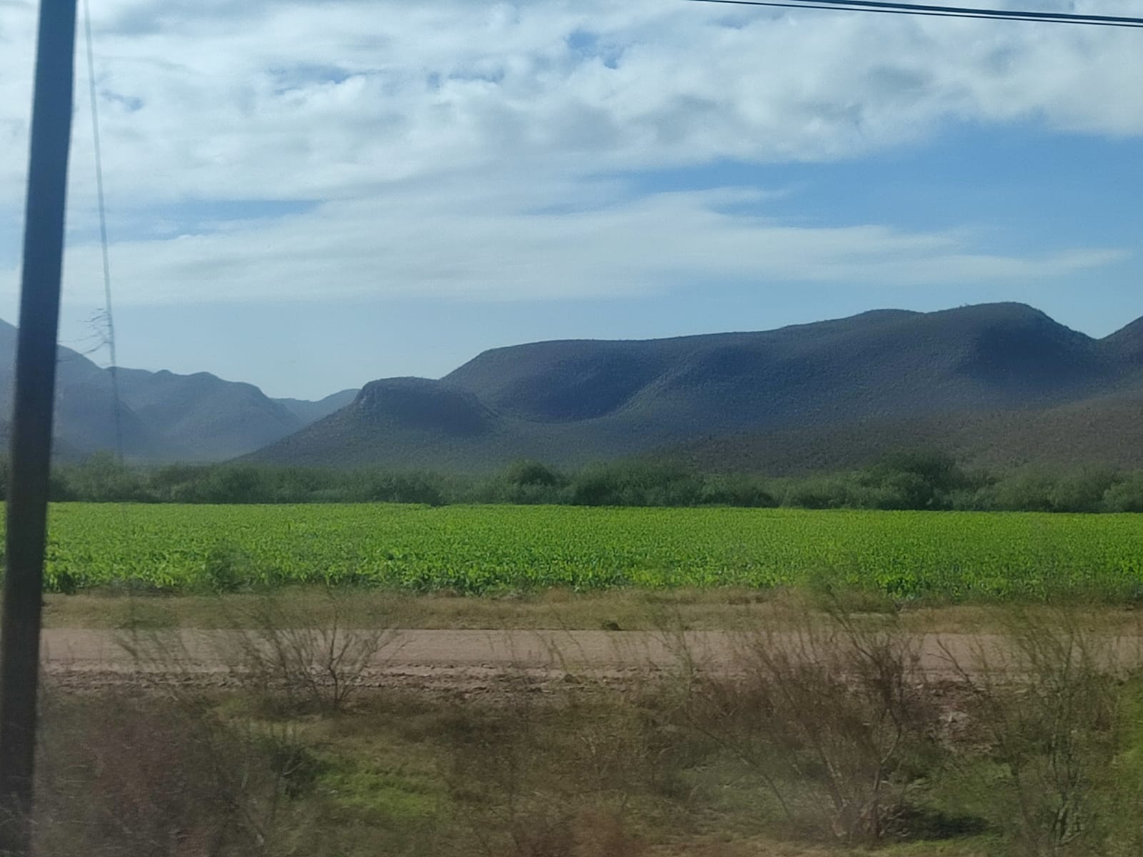 Caades pide al Gobierno evitar castigar a los productores con precios bajos en el maíz y frijol
