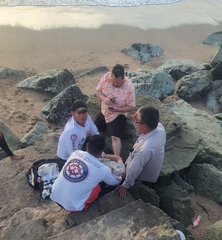 Turista pierde el equilibrio y cae a una zona rocosa en playas de Mazatlán
