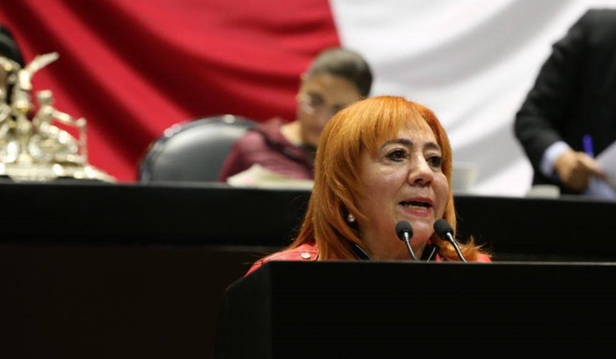 Presidenta de la CNDH se alinea con AMLO y propone eliminar este organismo