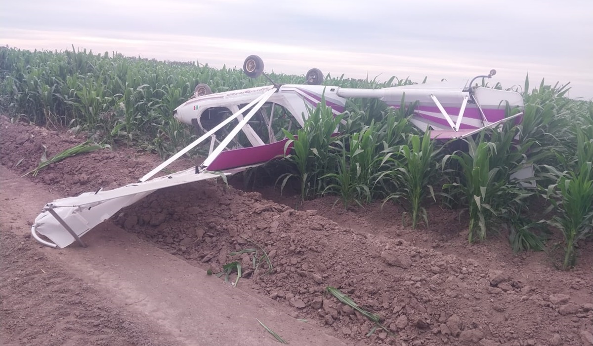 Se desploma avioneta ligera en Navolato; no están los tripulantes
