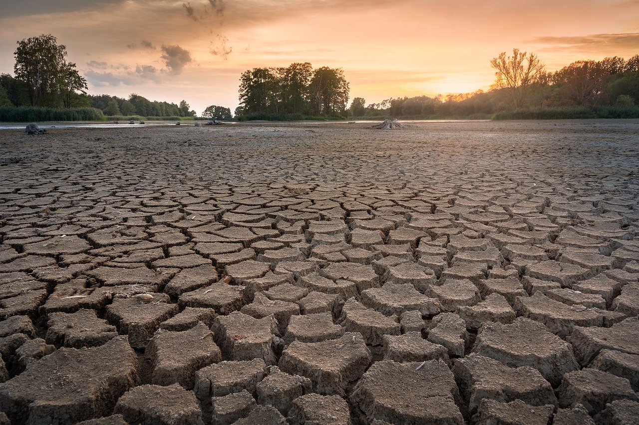 Sequía pone en riesgo el futuro del campo en Sinaloa